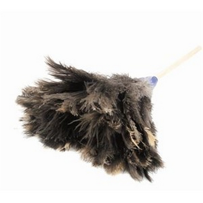 Feather Duster - Genuine Ostrich Feathers - Medium Head - 45cm - Pack of 5 - F9001