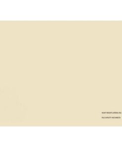 Lateral Document Files - Foolscap - Heavy Weight - 233gsm - A4 - Pack of 200 - FILLHW200