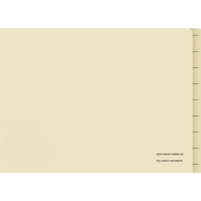 Lateral Document Files - Foolscap - Heavy Weight - 233gsm - A4 - Pack of 200 - FILLHW200
