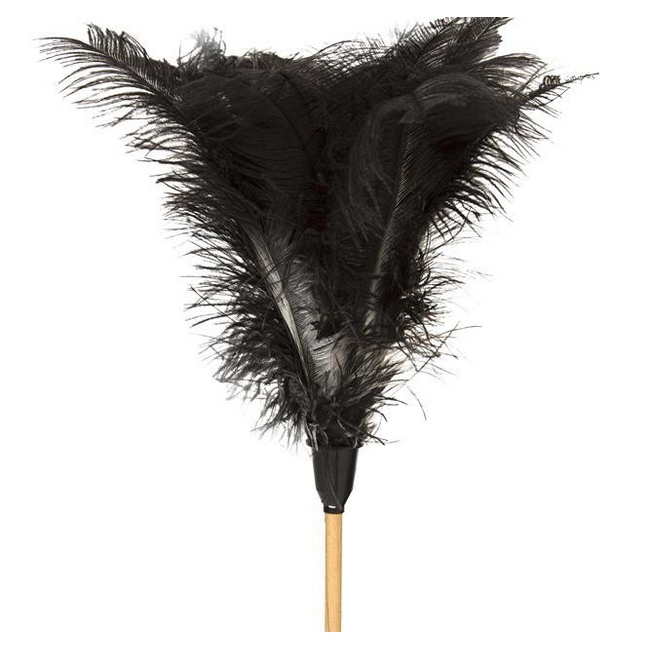 Feather Duster - Medium - 900mm