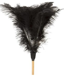 Feather Duster - Long -1840mm