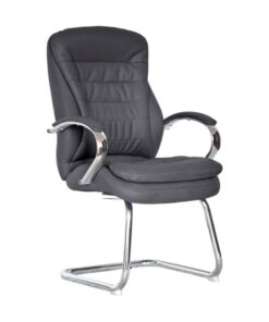 Visitors Arm Chair - Genuine Leather - Luvitt - Black