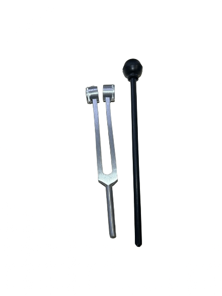 Tuning Fork + Plastic Base