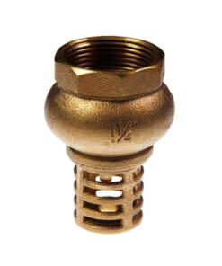 Foot Valve H/D Brass 25Mm